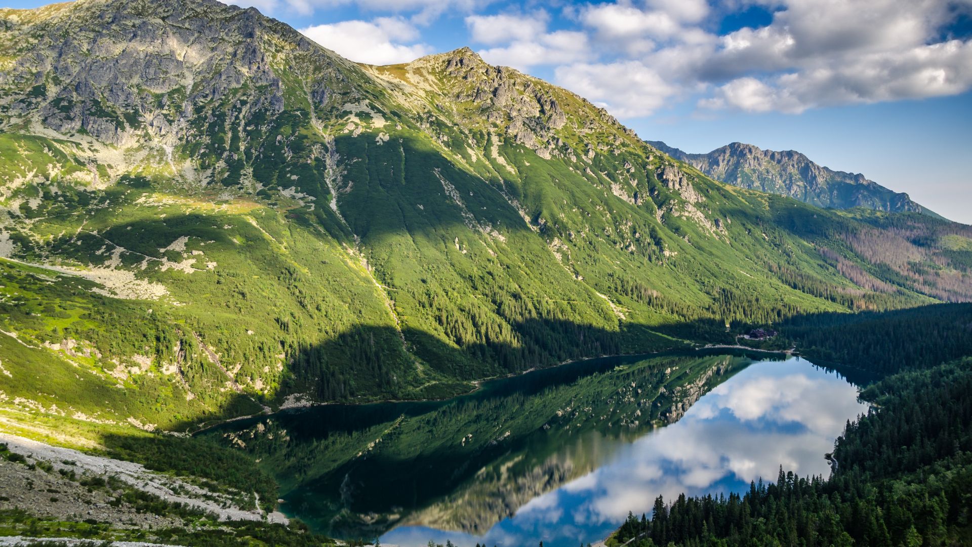 Projekt bez tytułuo